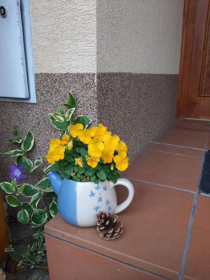 Pod Hradem Apartment