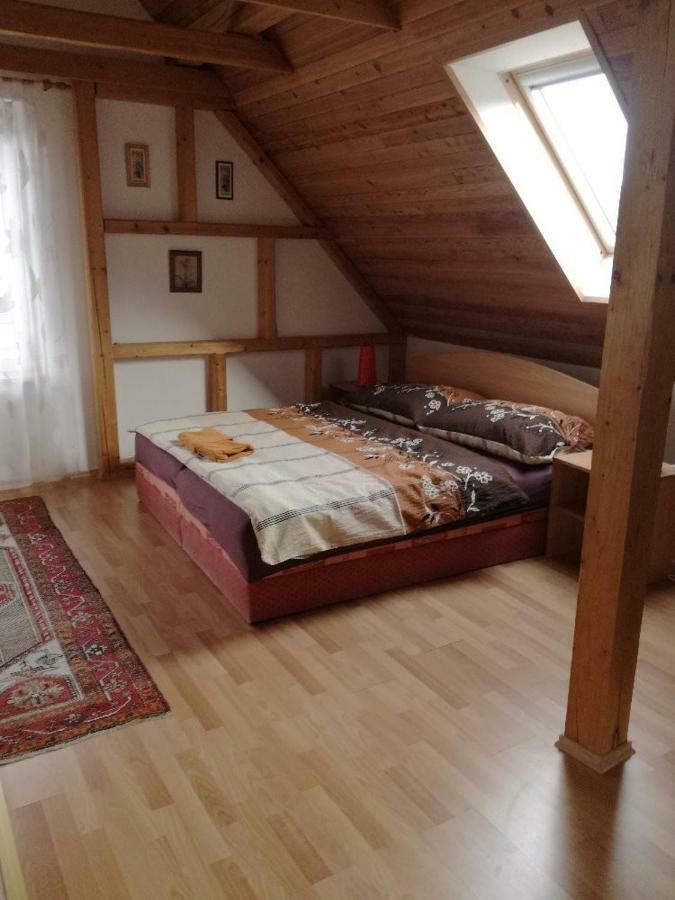 Pod Hradem Apartment Holstejn