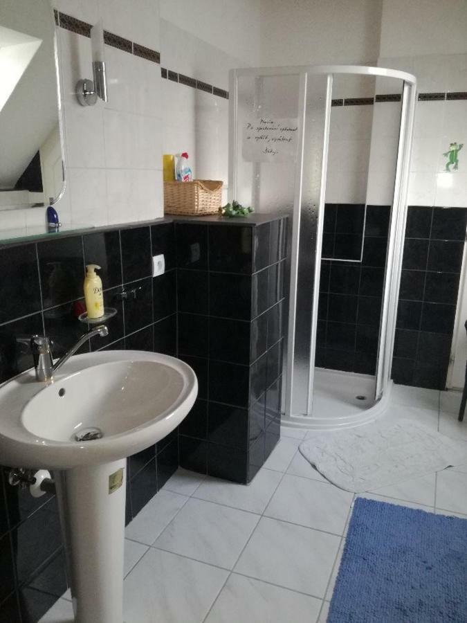 Apartment Pod Hradem *